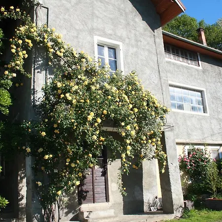 Fattoria Del Pino * Orta San Giulio