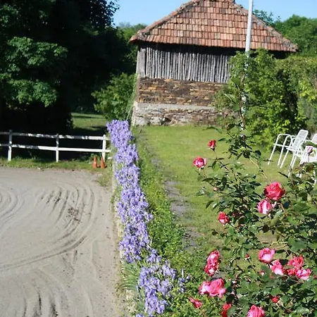 Fattoria Del Pino Bed & Breakfast
