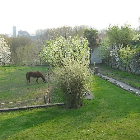 Fattoria Del Pino Bed & Breakfast *