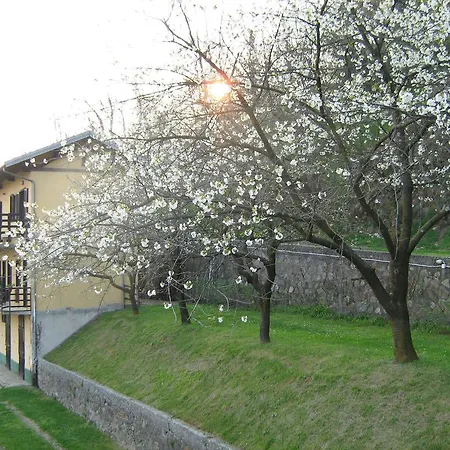 Fattoria Del Pino Orta San Giulio